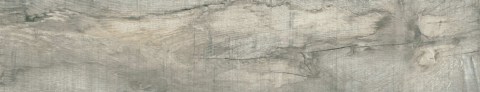 1318-Ceniza-25x129_5