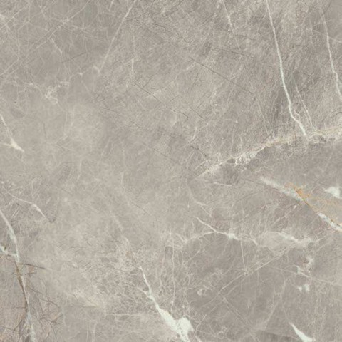 5034-Gris-50_6x50_6-cm