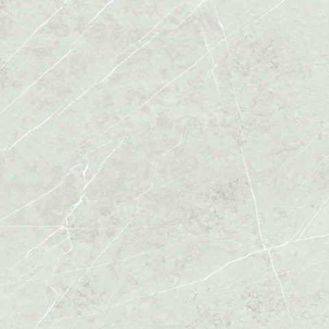 Altamura-Pearl-60x605