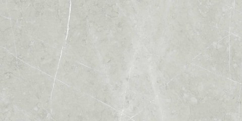 Altamura-Silver-60x120