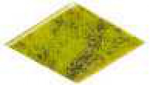 CELA