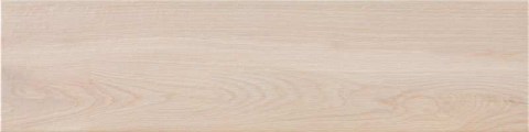 Pamesa-25x100-atlegno-arce