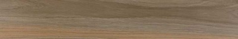 Pamesa-rainier-20x120-taupe