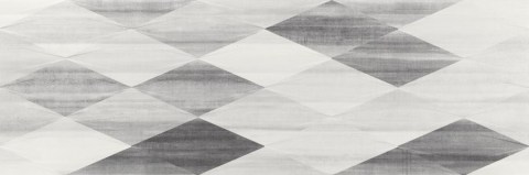 RLV-TISSE-40X120