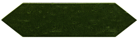 SHOW_ARROW_GREEN