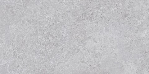 TAU-BORGA-SILVER-60X120F