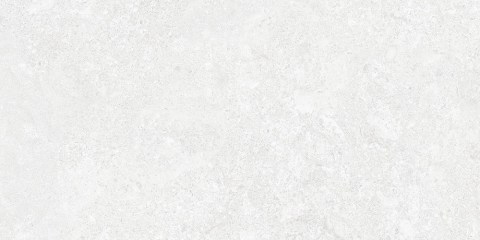 TAU-BORGA-WHITE-30X60F