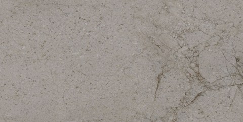 TAU-DORCIA-SILVER-60X120