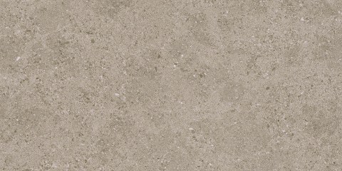 TAU-ROADSTONE-TAN-30X60