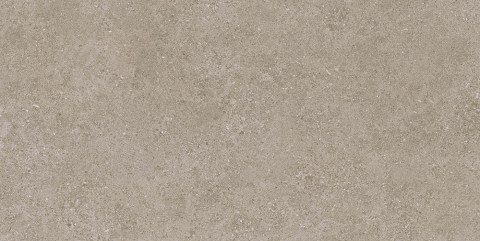 TAU-ROADSTONE-TAN-60X120