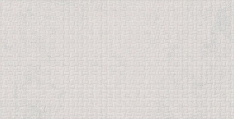 TAU-devon-wall-rlv-canes-white-30x60