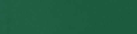 TAU-isola-forest-75x30