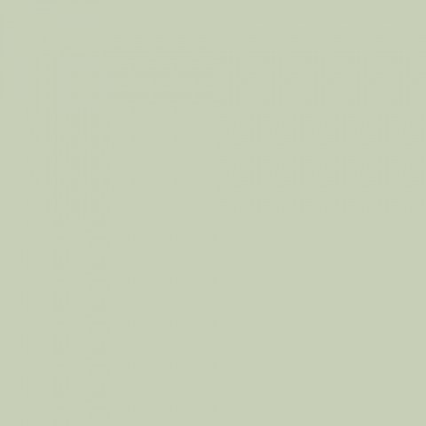 mefc.jpg.0x250_q75_crop