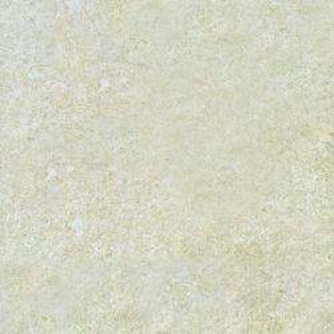 mjt1.jpg.0x250_q75_crop