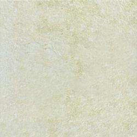 mjvp.jpg.0x250_q75_crop