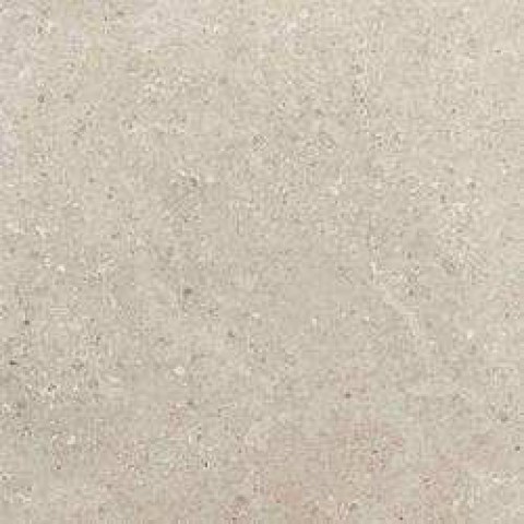 mlk9.jpg.0x250_q75_crop2