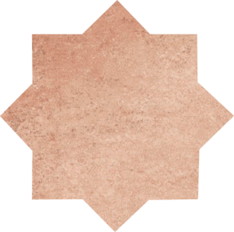 piemonte_novara_estrella